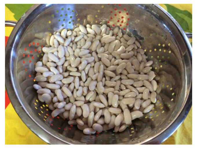 Dried white beans