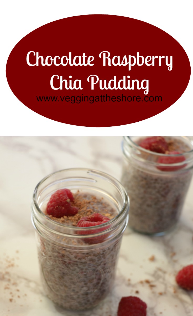 Chocolate Raspberry Chia Pudding Vegging On The Mountain