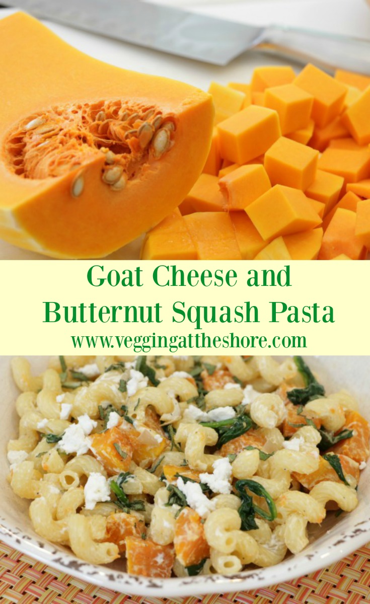 Butternut Squash and Goat Cheese Pasta - https://veggingonthemountain.com/